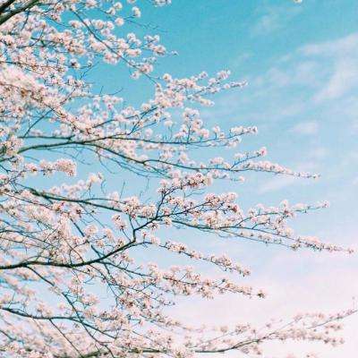 棋牌娱乐www官方网址入口最新版本